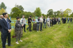 highland-games-313